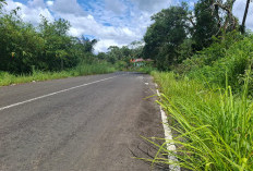 Tebas Bayang Jelang Tutup Tahun