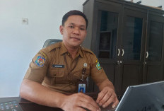 Penagihan PBB dan PKB akan Diintegrasikan Tahun 2026