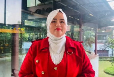 Gubernur Helmi Hasan Dimintai Keterangan Soal Mega Mall, Tim Hukum: Beliau Taat Hukum