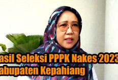 Hasil Seleksi PPPK Nakes 2023 Kabupaten Kepahiang Diumumkan, 495 Lulus dan 295 Gagal, Ini Daftar Lengkapnya