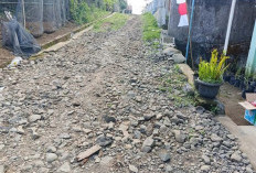 Luput dari Perhatian, Jalan Menuju Kantor Desa Karang Anyar Rusak Parah