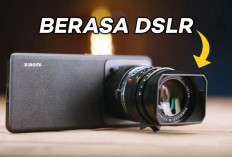 8 Smartphone dengan Kamera Setara DSLR, Anda Tidak Akan Nyesal 