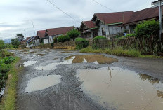 Warga Desa Warung Pojok Keluhkan Jalan Rusak di Tengah Desa