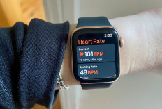 Rekomendasi Smartwatch dengan Fitur Pemantau Stres Terbaik 2025 
