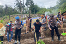 Dukung Program Ketahanan Pangan 2025: Pemdes Daspetah di Kepahiang Tanam Jagung 1 Hektare