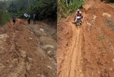 Desa Langgar Jaya Penghasil Kopi Terbanyak di Kepahiang tapi Akses Jalan Semakin Rusak Parah