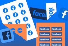 Yuk Dicoba, Begini Cara Mengaktifkan Facebook Pro