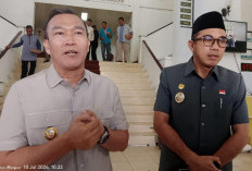 PT. TUMS Dinilai 'Jajah' Tanah Negara, PAD ke Kabupaten Kepahiang Rp0!