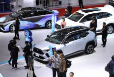 Mobil Terlaris Januari 2025, Cek Daftarnya!