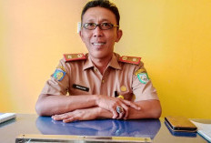Kemnaker RI Buka Program Magang Nasional: Warga Kabupaten Kepahiang Silakan Daftar