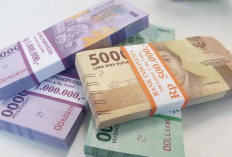 Butuh Pinjaman Cepat? Ini 3 Pinjol Legal Dengan Tenor Panjang, Dijamin Aman