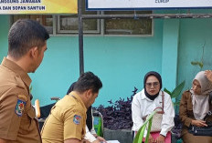 2 Peserta Lulus PPPK di Rejang Lebong Mengundurkan Diri, Satu Meninggal Dunia