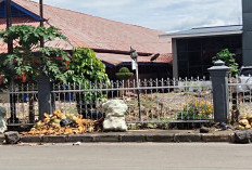 Bulan Puasa, Sampah Kulit Kelapa Muda Meningkat, DLH Kepahiang Kewalahan 