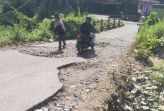 Viral di Medsos, Emak-emak Timbun Jalan Rusak di Kepahiang