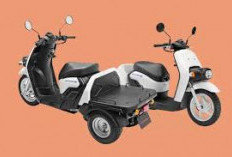 Meski Diunggulkan: Namun Motor Listrik Roda 3 Punya Sederet Kelemahan Ini