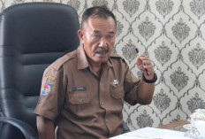  Segini Target Hasil Ketahanan Pangan Jagung di Kabupaten Kepahiang