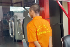 Nekat jadi Kurir Ganja, Mahasiswa Asal Seluma Terlilit Utang Rp 700 Ribu 