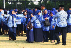 Alhamdulillah! Hasil Seleksi Administrasi PPPK 2024 Tahap I, Honorer K2 Lulus Semua