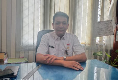Sudah Pertengahan Tahun PAD Baru 29,6 Persen Masuk Kasda, OPD Diminta Genjot Retribusi!