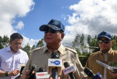 Prabowo Minta Pemda Selalu Siap Hadapi Perubahan Iklim