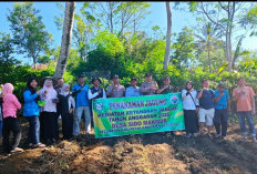 Jalankan Program Ketahanan Pangan, Desa Sido Makmur Tanam Jagung Seluas 1 Hektare