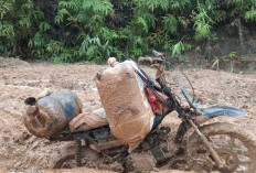 Seperti Kubangan, Musrenbangcam Tidak Akomodir Pembangunan Jalan, Harapan Warga Langgar Jaya Pupus