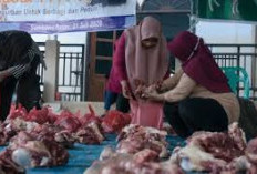 Berapa Kilogram Pembagian Daging Kurban yang Ideal Menurut Syariat Islam? Ini Penjelasannya