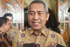 Bank Indonesia Dorong Pemda Optimalkan Digitalisasi