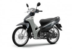 Honda Wave Alpha Mendapatkan Versi Segar: Motor Bebek Hemat yang Terjangkau