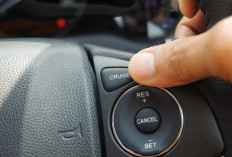 Mengenal Apa Itu Cruise Control dan Manfaatnya 