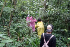 Taman Wisata Alam Bukit Kaba Air Sempiang Kabawetan