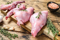 Daging Kelinci, Ketahui Manfaatnya untuk Kesehatan Tubuh