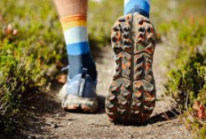 Rekomendasi Sepatu Trail untuk Petualang