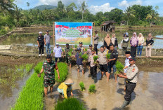 Polsek Tebat Karai Launching Gugus Tugas Polri Mendukung Ketahanan Pangan