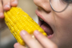 Cegah Ambeien, Rutin Konsumsi 4 Jenis Makanan Ini