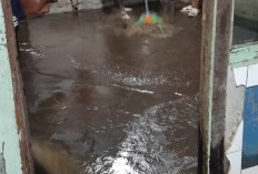 BPBD Terima 2 Laporan: Cuaca Ekstrem, Kepahiang 'Diteror' Ancaman Bencana Alam