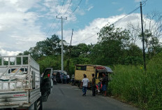 Laka Lantas di Kepahiang: Isuzu Traga Vs Mobil Box, Begini Kondisi Sopir dan Mobilnya!