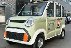 Motor Listrik Roda 4 Ternyata Dapat Diandalkan untuk Perjalanan Jauh: Segini Jarak Tempuhnya