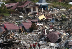 Petaka Menghantui Bumi, Berikut Mahluk Terakhir Tahan Banting Hadapi Bencana