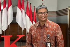 Peringatan Tegas BKN, Honorer Tidak Mendaftar PPPK 2024 Akan Dipecat 