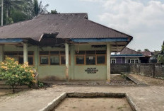Dikbud Kepahiang Catat 60 Persen Sekolah Rusak, APBD Sulit Biayai Pembangunannya!