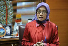 Kado Spesial MenPAN-RB untuk Honorer Tidak Lulus PPPK 2024 
