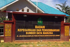 Pengangkatan CPNS Formasi 2024 Dipastikan Sesuai Jadwal