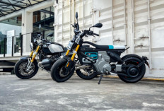 BMW Motorrad Luncurkan 3 Sepeda Motor Baru, Cek Spesifikasinya