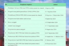 Buruan Cek Jangan Ketinggalan, Ini Jadwal Lengkap Prediksi Pendaftaran CPNS dan PPPK 2024