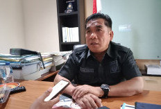 Dewan Dorong Honorer Non Database Masuk Skema Outsourcing