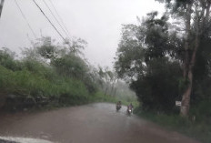 Tak Ada Drainase, Ruas Jalan Nasional di Daspetah Kepahiang Tergenang Air 