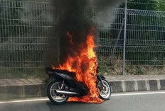  Pasti Mendadak Mati: Motor Listrik Tidak Berfungsi Tanpa Komponen Ini