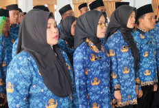 PPPK Paruh Waktu Ikut WFH: Apakah Durasi Kerja dalam Seminggu Berkurang? Ini Penjelasannya
