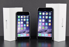 Sejarah Besar Apple: Iphone 6 Plus Jadi Produk Paling Laris dan Laku Terjual Hingga 224 Juta Unit